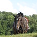 Janet Long Photo 13