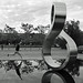 Robert Stanger Photo 11