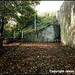 Billy House Photo 39