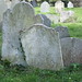 Leonard Newton Photo 19