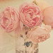 Andrea Mcclain Photo 10