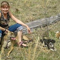 Donna Busch Photo 9