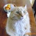 Lora Bartlett Photo 6