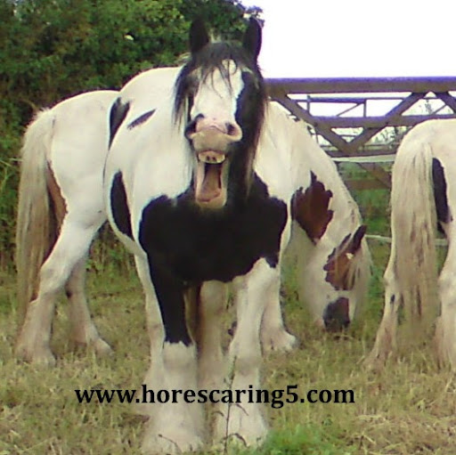 Teresa Haywood Photo 20