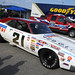 David Pearson Photo 18