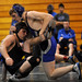 Ann Colwell Photo 14