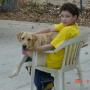 Steve Culp Photo 20