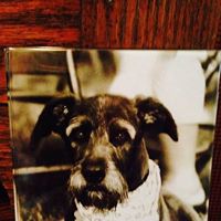 Teresa Schroeder Photo 19