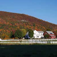 Robert Morlino Photo 5