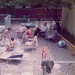 Jason Pool Photo 10