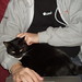 Ginny Neil Photo 4