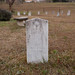 Samuel Ferguson Photo 17