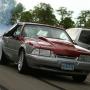 Shawn Andersen Photo 16