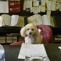 Candy Tuttle Photo 20