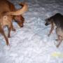 Melissa Jacobs Photo 39