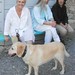 Martine Jean Photo 19