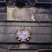 Charles Wall Photo 21