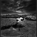 Don Saunders Photo 8