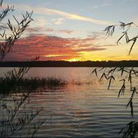 Tammy Singletary Photo 10