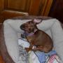 Nicki Huber Photo 9