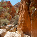 Alice Wells Photo 7