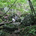 Kathy Long Photo 39