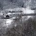 Robert Pollack Photo 36