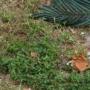 Leonor Rodriguez Photo 39