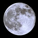 Jeffrey Moon Photo 18