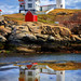 Patsy Light Photo 4