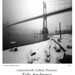 John Bridges Photo 36