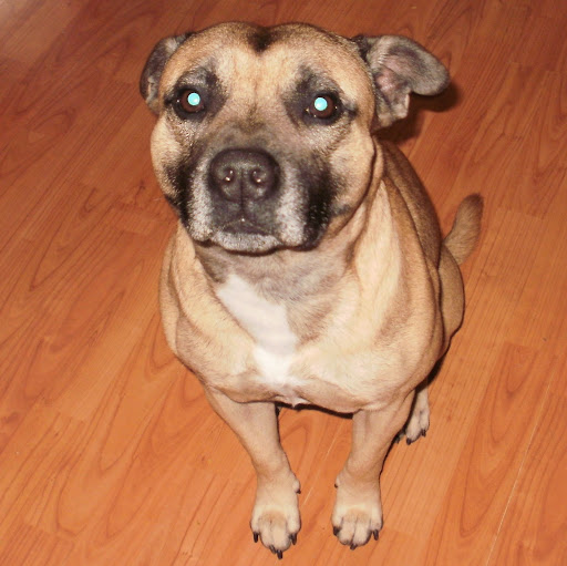 Bailey Perry Photo 3