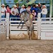 Kathy Heath Photo 27