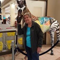 Ann Groover Photo 7
