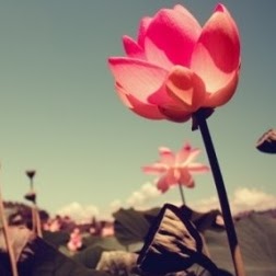 Emily Cao Photo 15
