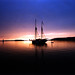 Stephen Tabor Photo 9