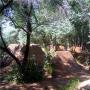 Chad Long Photo 7