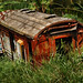 Greg Goodman Photo 37