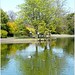 Herbert Green Photo 20