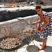 Rachel Devlin Photo 13