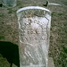 George Robinson Photo 18