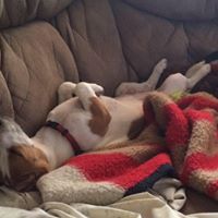 Joyce Garrison Photo 20