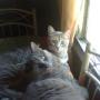 Debra Kerr Photo 39