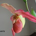 Connie Moody Photo 25