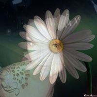 Heather Robison Photo 42