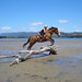Amy Cass Photo 17