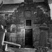 Hans Hamilton Photo 8