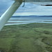Glen Warner Photo 5