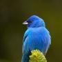 Brenda Borden Photo 30