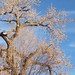 Tammy Neumann Photo 24